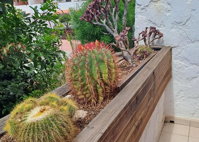 Apartamento Poolview Ground Floor Arona (Tenerife)