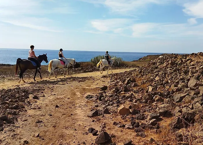 公寓 Poolview Ground Floor