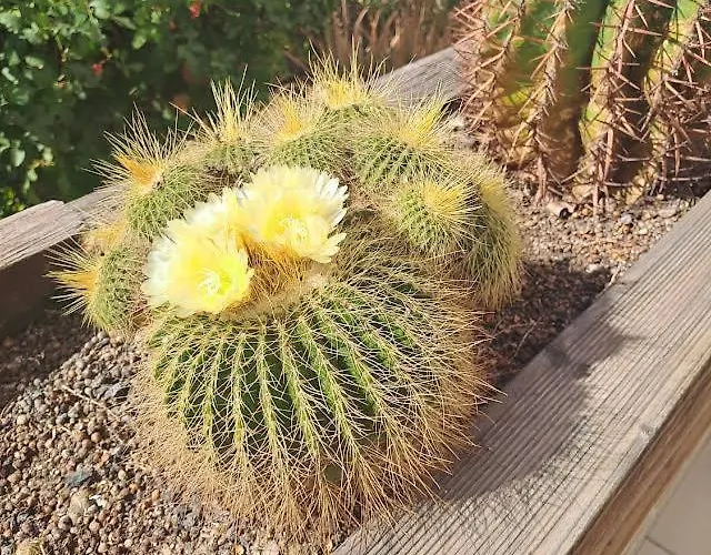 Poolview Ground Floor